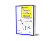 Load image into Gallery viewer, "Fiction Favours the Facts – Book 3"