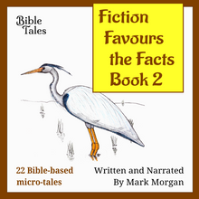 Load image into Gallery viewer, "Fiction Favours the Facts – Book 2" by Mark Morgan