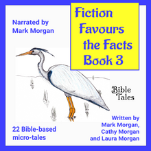 Load image into Gallery viewer, "Fiction Favours the Facts – Book 3"
