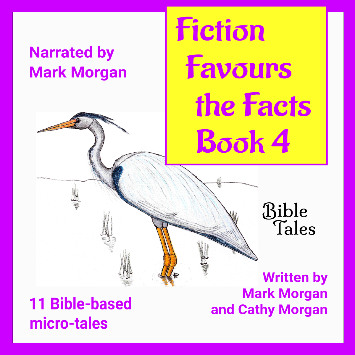 Audiobook (download): "Fiction Favours the Facts – Book 4"