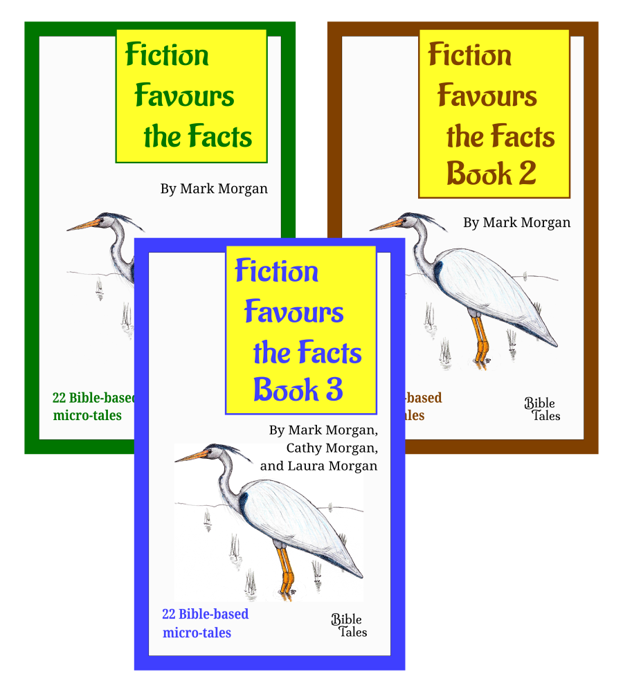 eBook bundle: Fiction Favours the Facts Books 1-3