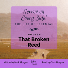 Load image into Gallery viewer, &quot;Terror on Every Side!  Volume 6 – That Broken Reed&quot; by Mark Morgan
