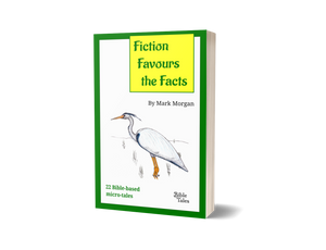 "Fiction Favours the Facts – Book 1" by Mark Morgan