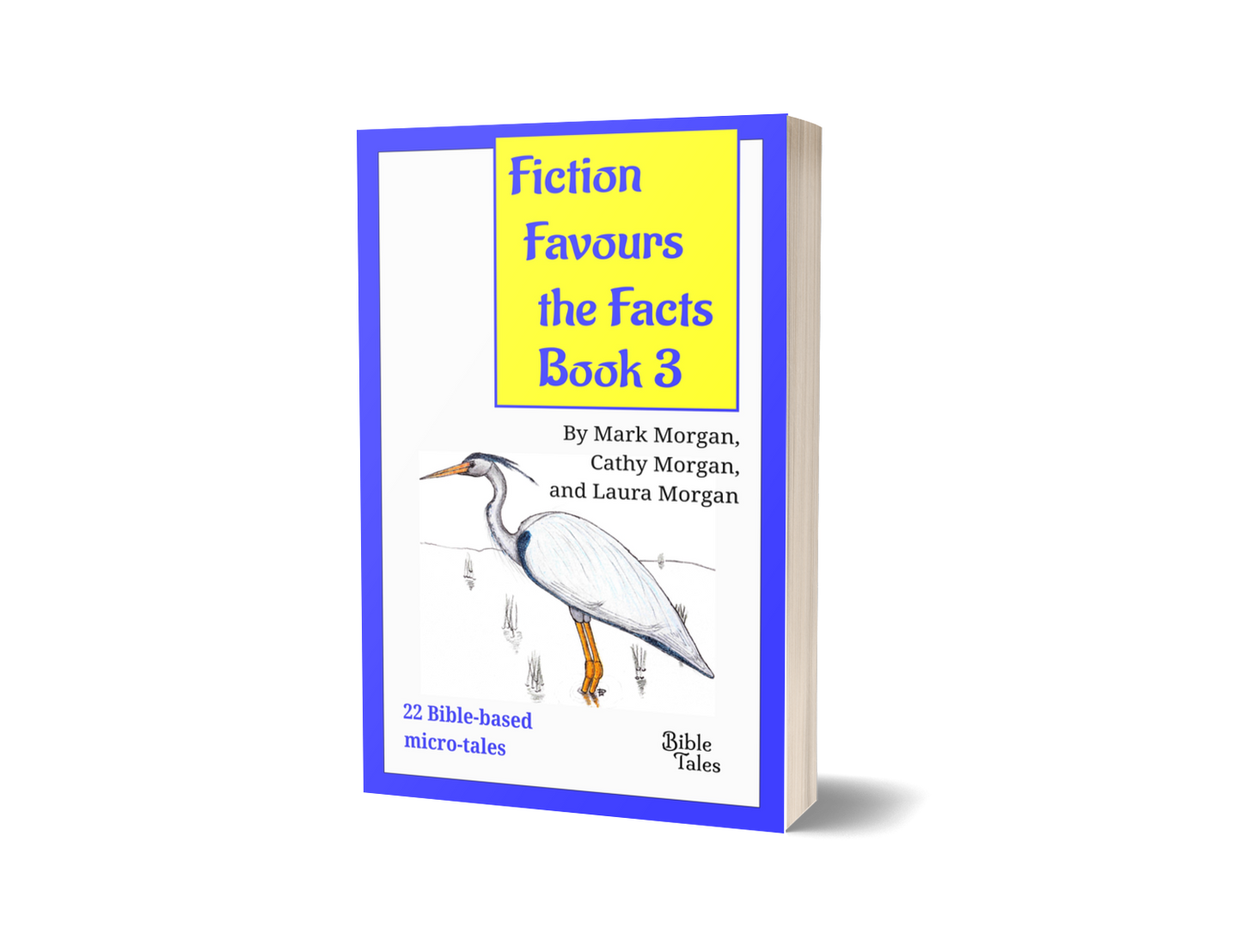 "Fiction Favours the Facts – Book 3"