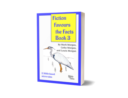 "Fiction Favours the Facts – Book 3"