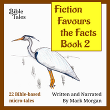 Load image into Gallery viewer, &quot;Fiction Favours the Facts – Book 2&quot; by Mark Morgan
