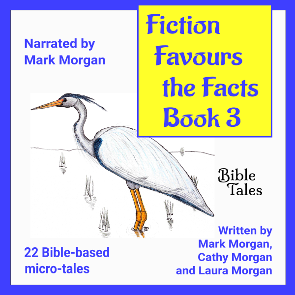 "Fiction Favours the Facts – Book 3"
