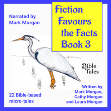 Load image into Gallery viewer, &quot;Fiction Favours the Facts – Book 3&quot;
