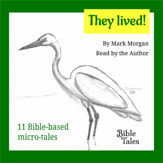 Cover of audiobook "They lived!"