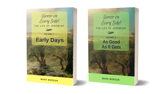 Paperbacks: "Terror on Every Side!  Vol 1 – Early Days & Vol 2 – As Good As It Gets" by Mark Morgan