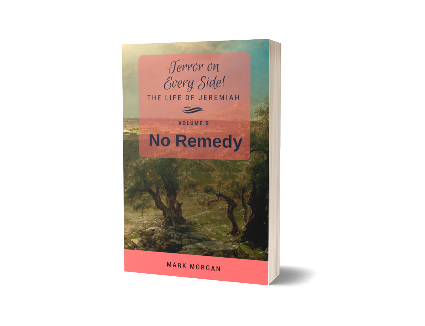 "Terror on Every Side!  Volume 5 – No Remedy" by Mark Morgan