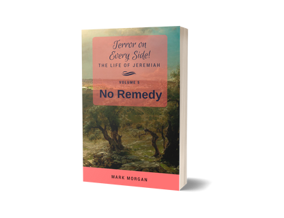 "Terror on Every Side!  Volume 5 – No Remedy" by Mark Morgan