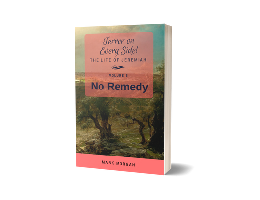 "Terror on Every Side!  Volume 5 – No Remedy" by Mark Morgan