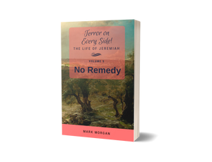 "Terror on Every Side!  Volume 5 – No Remedy" by Mark Morgan