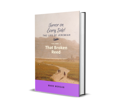 "Terror on Every Side!  Volume 6 – That Broken Reed" by Mark Morgan