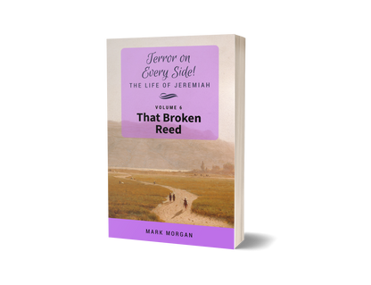 "Terror on Every Side!  Volume 6 – That Broken Reed" by Mark Morgan